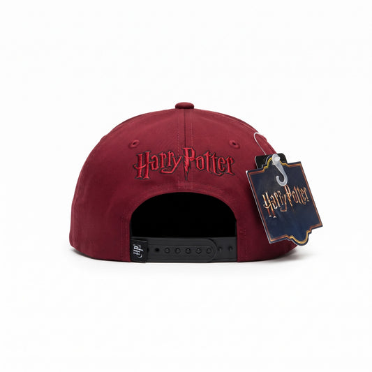 Gorra Licenciada Harry Potter Seeker - KCN103
