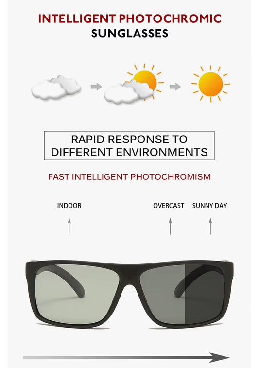 Lentes de Sol 2025 / C171