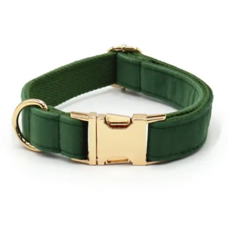COLLAR PARA PERRO MC10