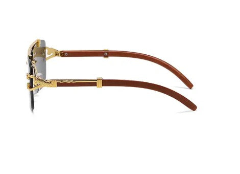 Lentes de Sol 2026 /negro C53