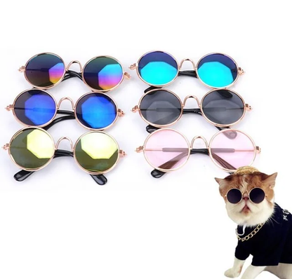 Gafas de sol para Mascota T02/ Negro