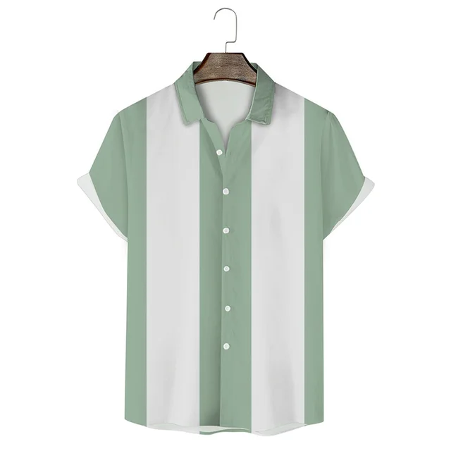 Camisa Casual / Verde-Blanco S2