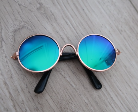 Gafas de sol para Mascota T02/ Azul
