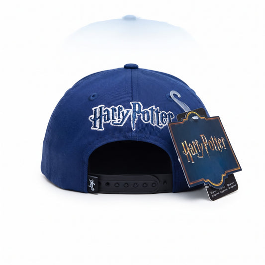 Gorra Licenciada Harry Potter Seeker - KCN106
