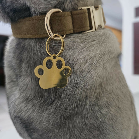 PLACA ACERO HUELLA MP01