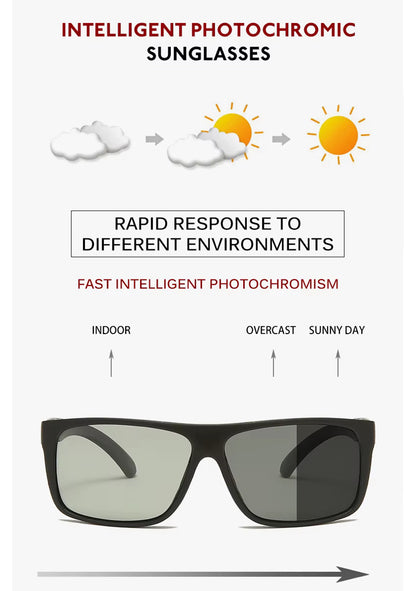 Lentes de Sol 2025 / C171