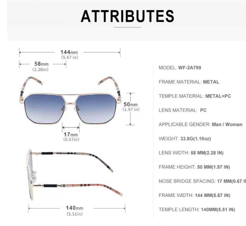 Lentes de Sol  2025 / C161