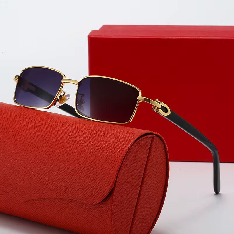 Lentes de Sol 2025 / C169