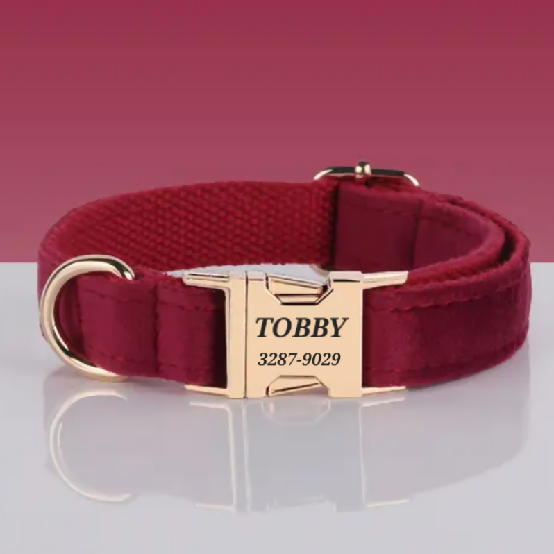 COLLAR PARA PERRO MC10