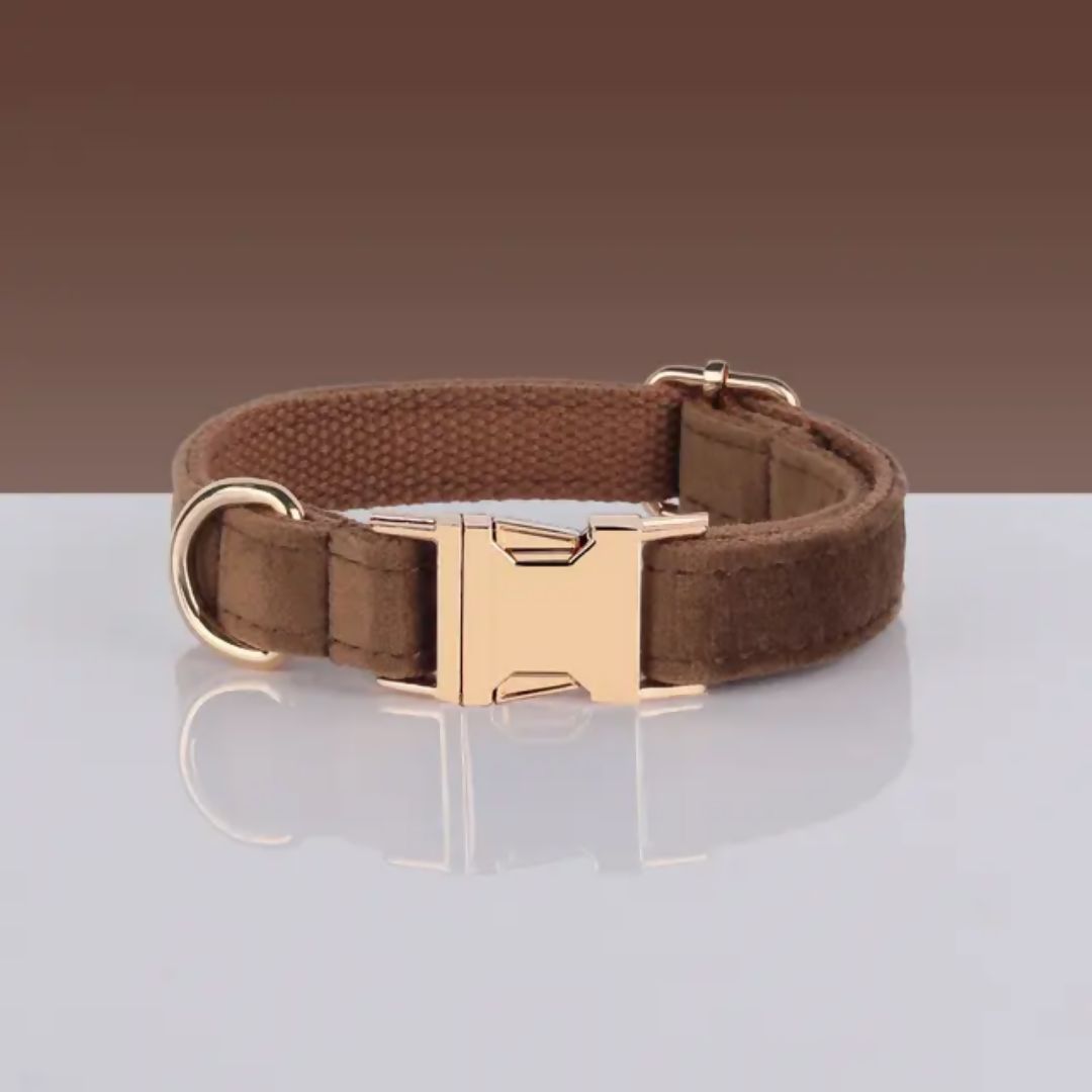 COLLAR PARA PERRO MC10