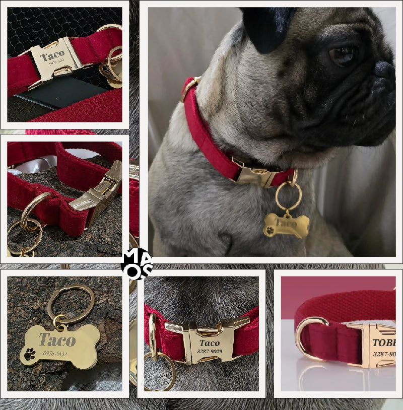 COLLAR PARA PERRO MC10