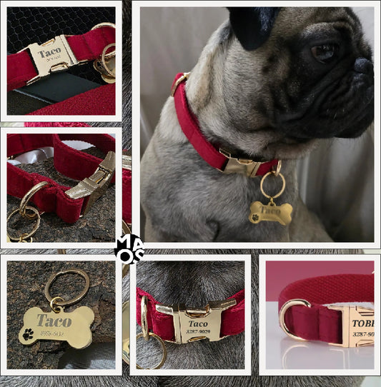 COLLAR PARA PERRO MC10