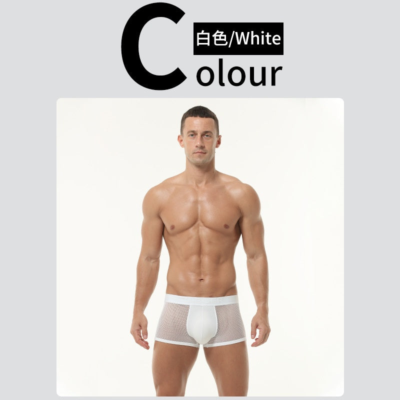 Boxer transparente / K405 blanco