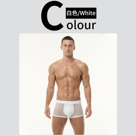 Boxer transparente / K405 blanco