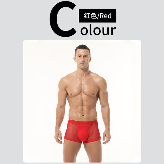Boxer transparente / K405 rojo