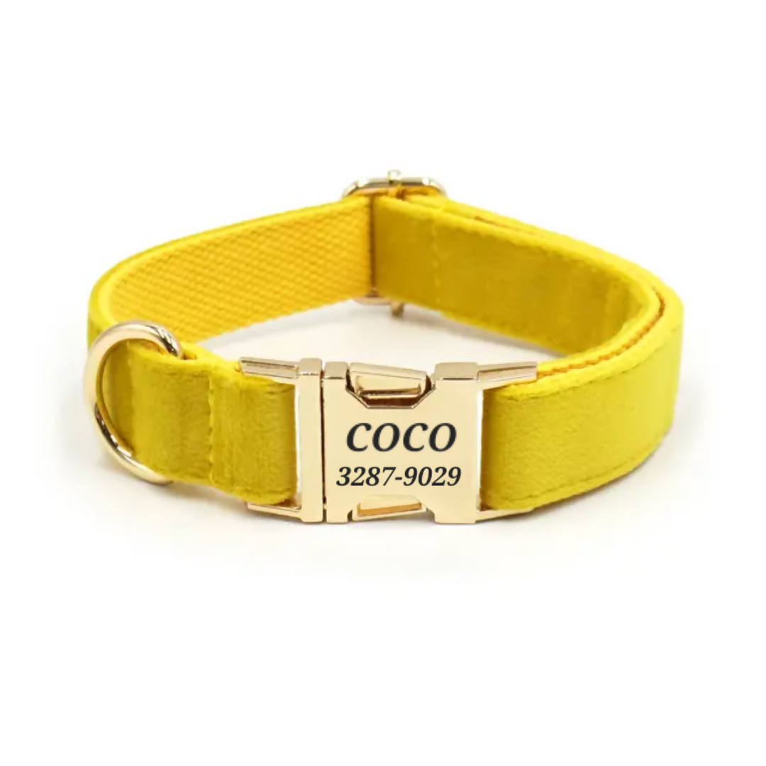 COLLAR PARA PERRO MC10
