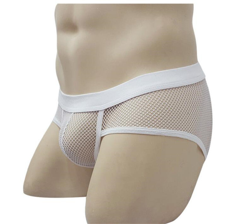 Transparent Mesh Briefs White
