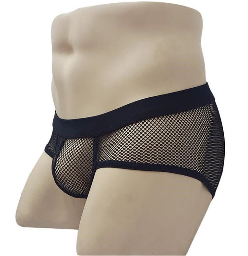 Transparent Mesh Briefs Black