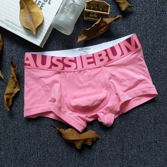 Boxer AUSSIEBUM  Rosa K232