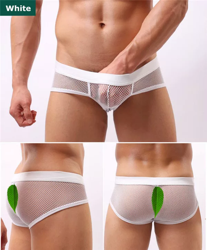Transparent Mesh Briefs White