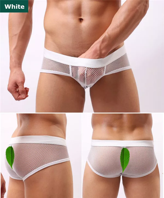 Transparent Mesh Briefs White
