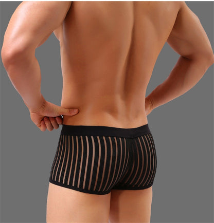Black Transparent Boxer